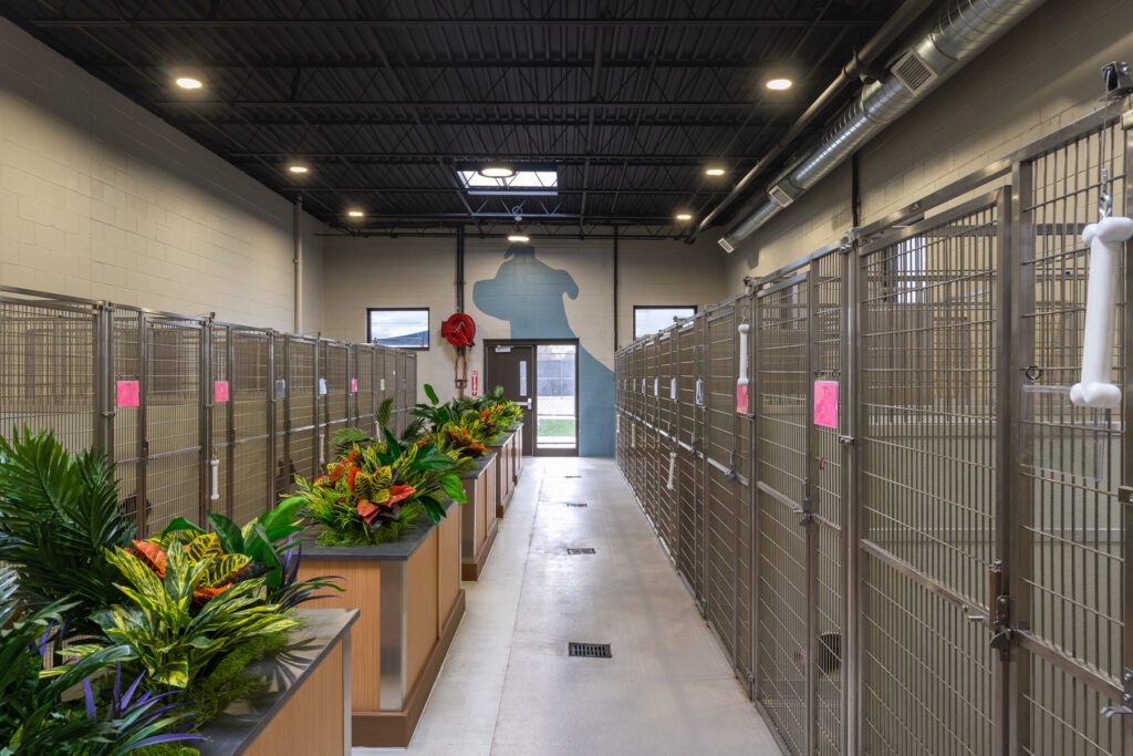 Taylor Animal Shelter