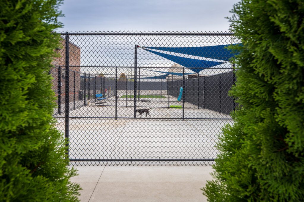 Taylor Animal Shelter