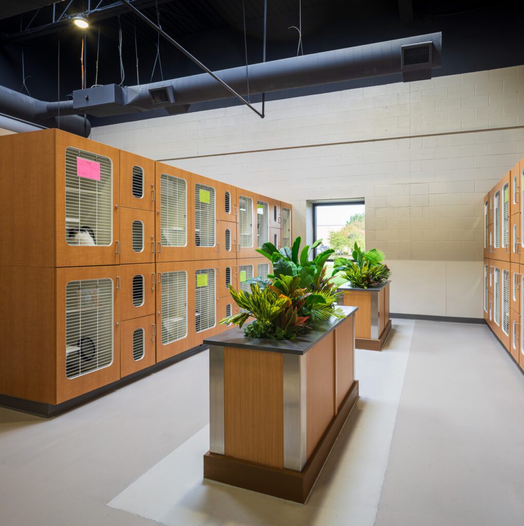 Taylor Animal Shelter