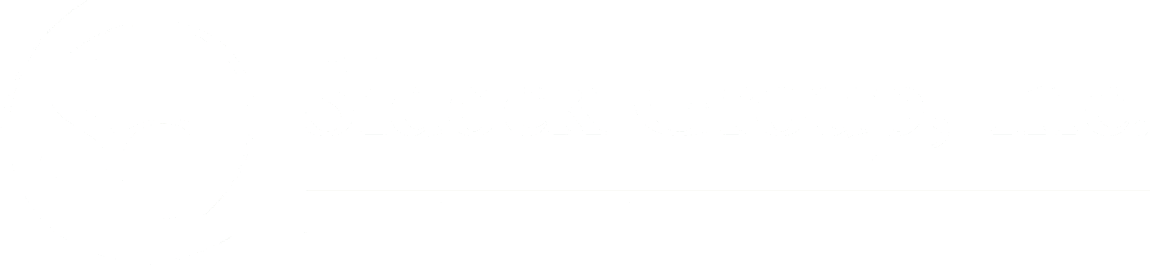 Sidock Group logo white